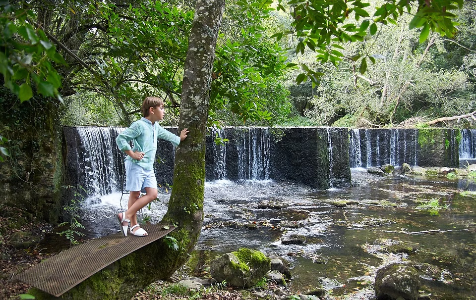 comuniones jose ferreiro 2026-20 Un niño, posa, junto al árbol al lado de una presa